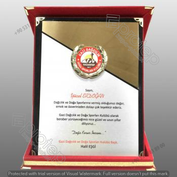 fasetli-album-plaket-03