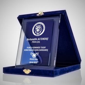 mavi-kristal-album-hizmet-anisi-plaket