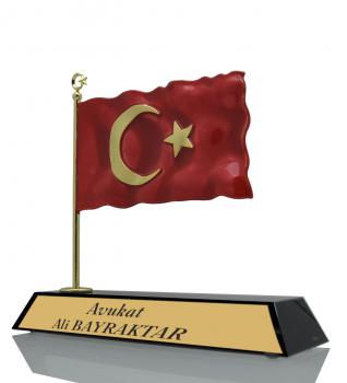 Görsel 1